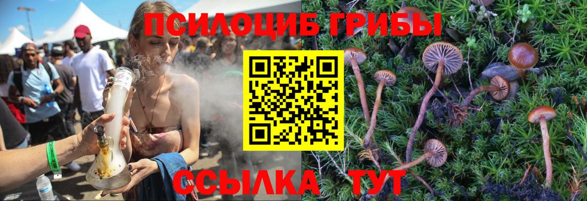 Псилоцибиновые грибы Magic Shrooms Чистополь