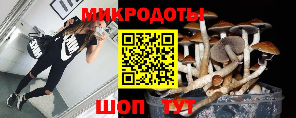 Псилоцибиновые грибы ЛСД  Псилоцибиновые грибы мухоморы  Вход с VPN  Чистополь 